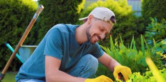 SE SOLICITA AYUDANTE DE JARDINERO PARA LABORES DE PODADO Y RIEGO ÁREAS VERDES (MEDIO TIEMPO)