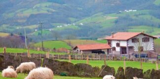 SE SOLICITA TRABAJADOR DE RANCHO CON MÍNIMA EXPERIENCIA PARA CUIDADO DE OVEJAS