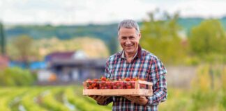 SE REQUIERE TRABAJADOR DE CAMPO PARA COSECHA DE FRAMBUESAS (MÍNIMA EXPERIENCIA)