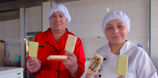 SE REQUIERE PERSONAL DE PRODUCCIÓN PARA ENVASADO DE HELADOS, NO SE REQUIERE EXPERIENCIA