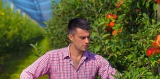 SE SOLICITA TRABAJADOR AGRÍCOLA PARA RECOLECCIÓN DE FRUTAS Y VERDURAS, NO SE REQUIERE EXPERIENCIA