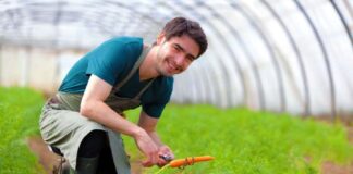 SE REQUIERE TRABAJADOR AGRÍCOLA PARA CONTROL DE CALIDAD DE PRODUCTOS (CON O SIN EXPERIENCIA)