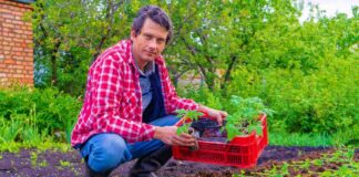 SE REQUIERE TRABAJADOR AGRÍCOLA PARA COSECHA DE VERDURAS (CON O SIN EXPERIENCIA)