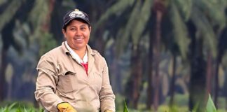 SE SOLICITA PEÓNES AGRÍCOLAS PARA RECOLECCIÓN DE PRODUCTOS Y MANTENIMIENTO GENERAL DE ÁREAS