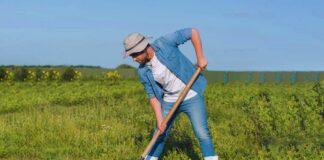 SE SOLICITA PEÓN AGRÍCOLA PARA PREPARACIÓN DE TERRENOS (HOMBRE Y/O MUJER)