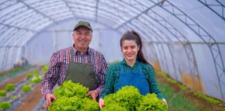 SE SOLICITA TRABAJADOR AGRÍCOLA PARA CLASIFICACIÓN Y EMPAQUE DE PRODUCTOS, NO SE REQUIERE EXPERIENCIA