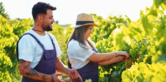 SE SOLICITA PEÓN AGRÍCOLA PARA RECOLECCIÓN Y CLASIFICACIÓN DE FRUTA, TIEMPO COMPLETO