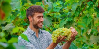 SE SOLICITA PEÓN/A AGRÍCOLA PARA CONTROL DE PRODUCTOS EN FINCA (MÍNIMA EXPERIENCIA)