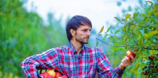 SE SOLICITA PEÓN/A AGRÍCOLA PARA CONTROL Y RECOLECCIÓN DE FRUTA, JORNADA COMPLETA
