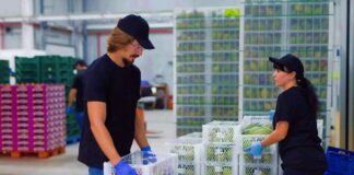 SE SOLICITA PERSONAL DE ALMACÉN PARA ORDEN DE PRODUCTOS EN BODEGA (CON O SIN EXPERIENCIA)