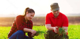 SE SOLICITA TRABAJADOR DE CAMPO PARA COSECHA DE VERDURAS (MÍNIMA EXPERIENCIA)