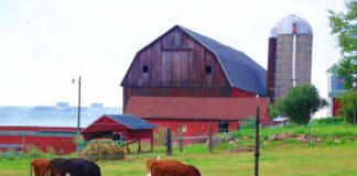 SE SOLICITA CUIDADOR/A DE GRANJA PARA MANTENIMIENTO DE ESTABLECIMIENTO (CON O SIN EXPERIENCIA)