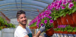 SE SOLICITA TRABAJADOR DE VIVERO CON MÍNIMA EXPERIENCIA PARA CUIDADO Y MANTENIMIENTO DE PLANTAS