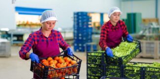 SE SOLICITA AUXILIAR DE BODEGA PARA ORDEN Y ALISTO DE MERCADERÍA EN ALMACÉN