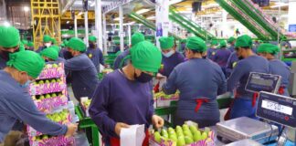SE REQUIERE EMPACADOR/A DE ALIMENTOS PARA SUPERMERCADO (MEDIO TIEMPO)