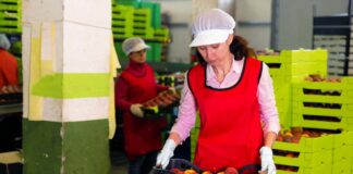 SE REQUIERE ENVASADOR/A DE FRUTA CON O SIN EXPERIENCIA (TIEMPO COMPLETO)