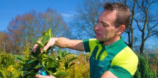 SE SOLICITA JARDINERO PARA JORNADA DE MEDIO TIEMPO (5 DÍAS A LA SEMANA)