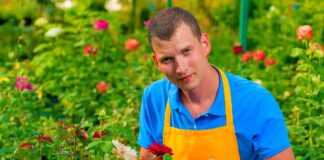 SE REQUIERE JARDINERO PARA MANTENIMIENTO DE ÁREAS VERDES Y LABORES GENERALES, NO SE REQUIERE EXPERIENCIA