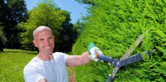 SE REQUIERE JARDINERO PARA MANTENIMIENTO DE ARBUSTOS Y FLORES (CON O SIN EXPERIENCIA)