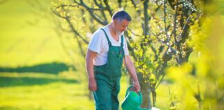 SE REQUIERE JARDINERO PARA MANTENIMIENTO DE TERRENOS (HOMBRE Y/O MUJER)