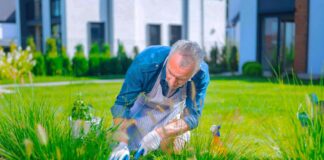 SE REQUIERE JARDINERO/A PARA MANTENIMIENTO DE ZONAS VERDES (MEDIO TIEMPO)