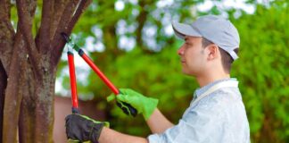 SE SOLICITA JARDINERO PARA MANTENIMIENTO Y CORTE DE CÉSPED (CON O SIN EXPERIENCIA)