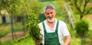 SE REQUIERE JARDINERO PARA LABORES GENERALES DE MANTENIMIENTO