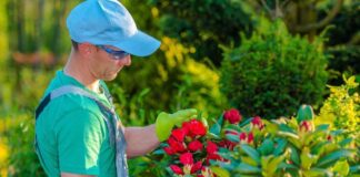 SE REQUIERE JARDINERO PARA MANTENIMIENTO DE ÁREAS VERDES EN JORNADA DE MEDIO TIEMPO