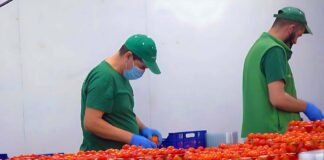SE REQUIERE TRABAJADOR DE ALMACÉN PARA CLASIFICAR Y ETIQUETAR LA MERCADERÍA EN BODEGA (CON O SIN EXPERIENCIA)