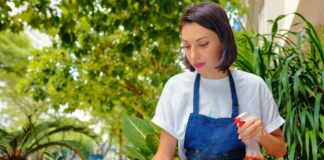 SE SOLICITA AUXILIAR DE LIMPIEZA PARA DESINFECCIÓN DE INSTALACIONES EN SUPERMERCADO