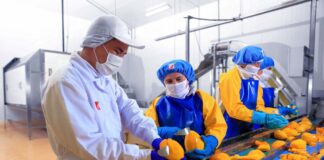 SE REQUIERE OPERARIO DE PRODUCCIÓN PARA ENVASADO DE PRODUCTOS, TIEMPO COMPLETO