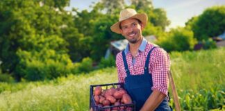 SE SOLICITA TRABAJADOR AGRÍCOLA PARA CONTROL DE PRODUCTOS EN COSECHA (CON O SIN EXPERIENCIA)