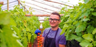 SE SOLICITA PEÓN AGRÍCOLA HOMBRE Y/O MUJER PARA RECOLECCIÓN DE PRODUCTOS, NO SE REQUIERE EXPERIENCIA