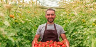 SE SOLICITA TRABAJADOR AGRÍCOLA PARA LABORES GENERALES EN COSECHA, NO SE REQUIERE EXPERIENCIA