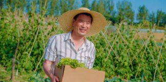 SE REQUIERE TRABAJADOR AGRÍCOLA CON MÍNIMA EXPERIENCIA PARA CONTROL DE CALIDAD DE PRODUCTOS