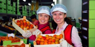 SE SOLICITA PERSONAL DE ALMACÉN PARA ENVASADO DE FRUTAS (TIEMPO PARCIAL)