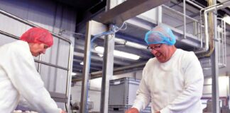 SE REQUIERE TRABAJADORES DE PRODUCCIÓN PARA CONTROL DE CALIDAD DE TACOS, NO SE REQUIERE EXPERIENCIA