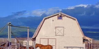 SE SOLICITA TRABAJADOR DE RANCHO CON MÍNIMA EXPERIENCIA PARA CUIDADO DE GANADO