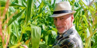 SE SOLICITA TRABAJADORES AGRÍCOLAS CON MÍNIMA EXPERIENCIA PARA RECOLECCIÓN DE MAÍZ