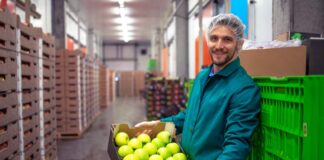 SE SOLICITA EMPACADOR CON O SIN EXPERIENCIA PARA CLASIFICACIÓN Y ENVASADO DE FRUTA