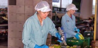 SE REQUIERE EMPACADORES PARA CONTROL DE CALIDAD DE ALIMENTOS