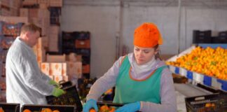 SE SOLICITA PEÓN ENVASADOR PARA CLASIFICACIÓN Y ETIQUETADO DE FRUTAS
