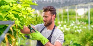 SE REQUIERE JARDINERO DE MEDIO TIEMPO PARA PROYECTOS COMERCIALES Y RESIDENCIALES