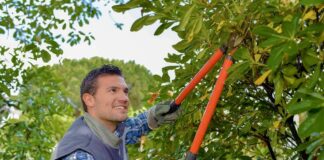 SE REQUIERE JARDINERO DE TIEMPO COMPLETO PARA MANTENIMIENTO DE ÁREAS VERDES