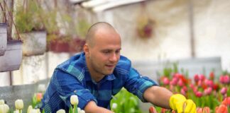 SE REQUIERE JARDINERO PARA MANTENIMIENTO GENERAL DE CÉSPED, NO SE REQUIERE EXPERIENCIA