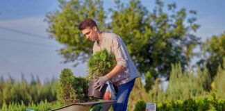 SE REQUIERE AYUDANTE DE JARDINERÍA DE MEDIO TIEMPO PARA TURNO MAÑANA