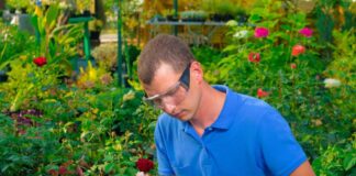 SE SOLICITA JARDINERO CON O SIN EXPERIENCIA PARA RIEGO Y CUIDADO DE PLANTAS