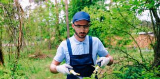 SE REQUIERE JARDINERO DE TIEMPO COMPLETO PARA MANTENIMIENTO GENERAL DE ÁREAS VERDES