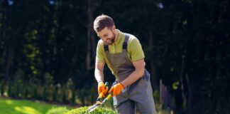 SE REQUIERE JARDINERO PARA MANTENIMIENTO DE ÁREAS VERDES 5 DÍAS POR SEMANA (MEDIO TIEMPO)