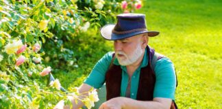 SE REQUIERE JARDINERO PARA MANTENIMIENTO DE ÁREAS VERDES, TIEMPO COMPLETO Y MEDIO TIEMPO